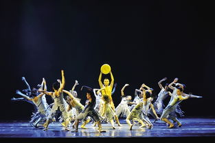 驯兽表演团闪耀邕城 歌舞飞扬的原创精品展演