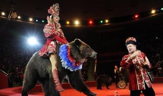 俄罗斯莫斯科圣彼得堡10日冬季梦幻之旅 冰雪奇缘与异国风情的完美融合