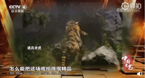 98版《水浒传》武松打虎真相 驯兽表演背后的惊险拍摄与网友热议